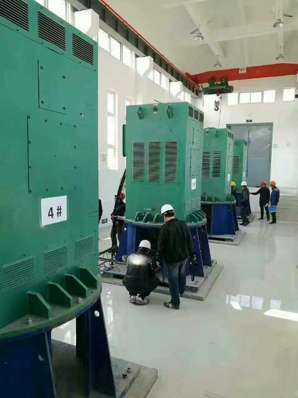 宜川某污水处理厂使用我厂的立式高压电机安装现场